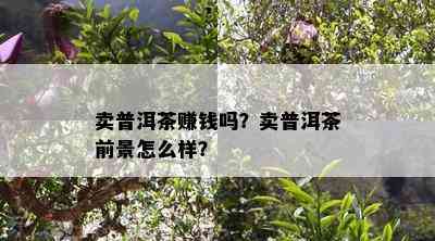 卖普洱茶赚钱吗？卖普洱茶前景怎么样？