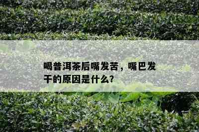 喝普洱茶后嘴发苦，嘴巴发干的原因是什么？