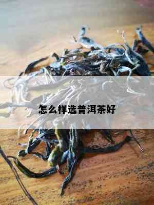 怎么样选普洱茶好