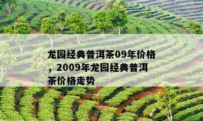 龙园经典普洱茶09年价格，2009年龙园经典普洱茶价格走势