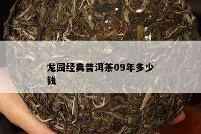 龙园经典普洱茶09年多少钱