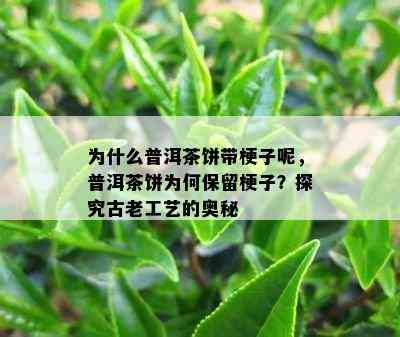 为什么普洱茶饼带梗子呢，普洱茶饼为何保留梗子？探究古老工艺的奥秘