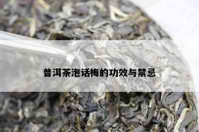 普洱茶泡话梅的功效与禁忌