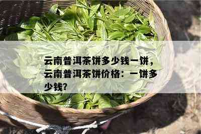 云南普洱茶饼多少钱一饼，云南普洱茶饼价格：一饼多少钱？