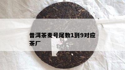 普洱茶麦号尾数1到9对应茶厂