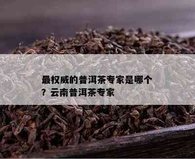 最权威的普洱茶专家是哪个？云南普洱茶专家