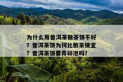 为什么用普洱茶做茶饼不好？普洱茶饼为何比散茶便宜？普洱茶饼要弄碎泡吗？