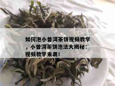 如何泡小普洱茶饼视频教学，小普洱茶饼泡法大揭秘：视频教学来袭！