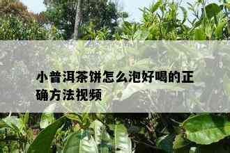 小普洱茶饼怎么泡好喝的正确方法视频