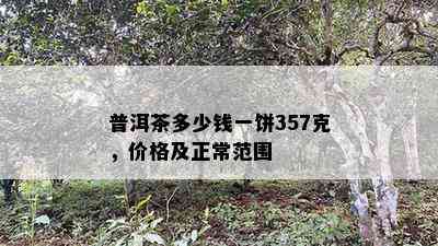 普洱茶多少钱一饼357克，价格及正常范围