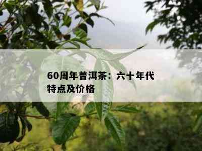 60周年普洱茶：六十年代特点及价格