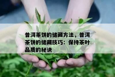 普洱茶饼的储藏方法，普洱茶饼的储藏技巧：保持茶叶品质的秘诀