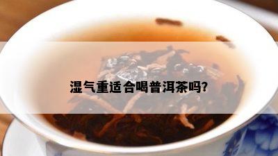 湿气重适合喝普洱茶吗？