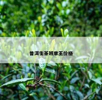 普洱生茶班章王价格