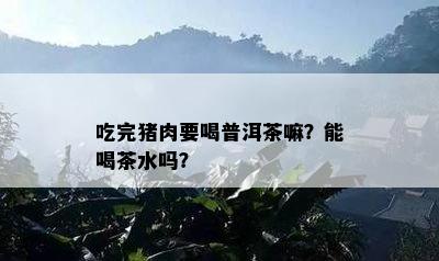 吃完猪肉要喝普洱茶嘛？能喝茶水吗？