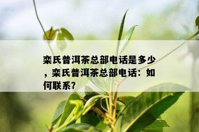 栾氏普洱茶总部电话是多少，栾氏普洱茶总部电话：如何联系？