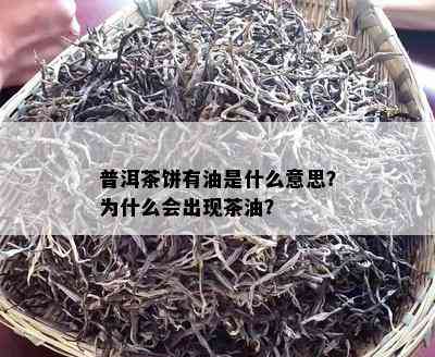 普洱茶饼有油是什么意思？为什么会出现茶油？