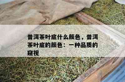 普洱茶叶底什么颜色，普洱茶叶底的颜色：一种品质的窥视