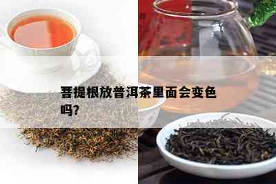 菩提根放普洱茶里面会变色吗？