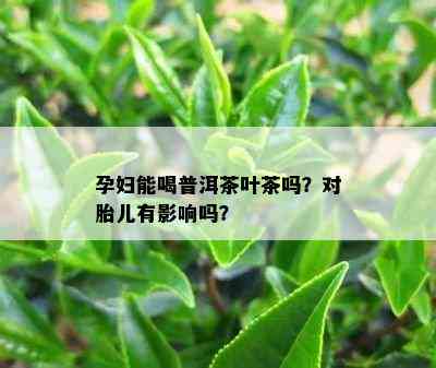 孕妇能喝普洱茶叶茶吗？对胎儿有影响吗？