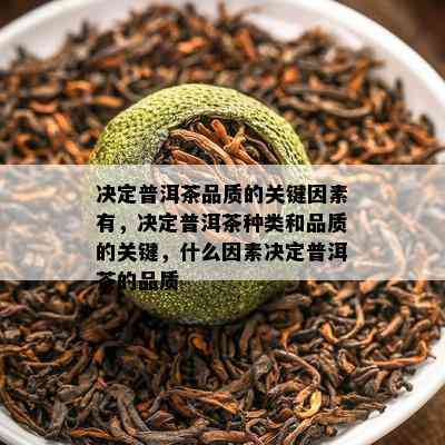 决定普洱茶品质的关键因素有，决定普洱茶种类和品质的关键，什么因素决定普洱茶的品质