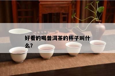 好看的喝普洱茶的杯子叫什么？