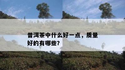 普洱茶中什么好一点，质量好的有哪些？