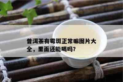 普洱茶有霉斑正常嘛图片大全，里面还能喝吗？