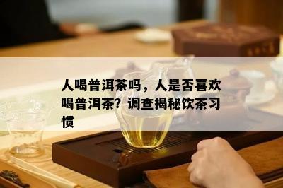 人喝普洱茶吗，人是否喜欢喝普洱茶？调查揭秘饮茶习惯