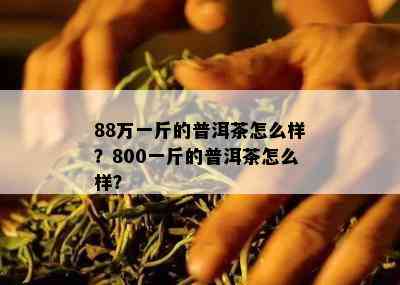 88万一斤的普洱茶怎么样？800一斤的普洱茶怎么样？