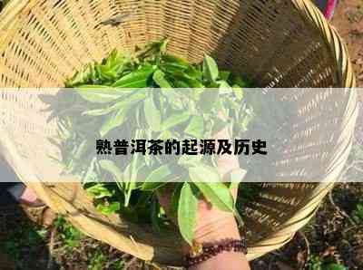 熟普洱茶的起源及历史