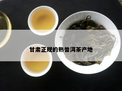 甘肃正规的熟普洱茶产地