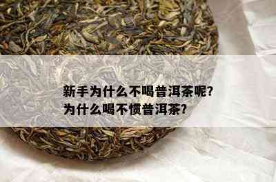 新手为什么不喝普洱茶呢？为什么喝不惯普洱茶？