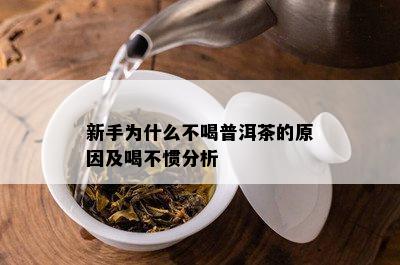 新手为什么不喝普洱茶的原因及喝不惯分析