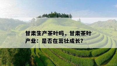 甘肃生产茶叶吗，甘肃茶叶产业：是否在茁壮成长？