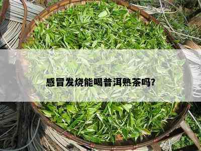 感冒发烧能喝普洱熟茶吗？