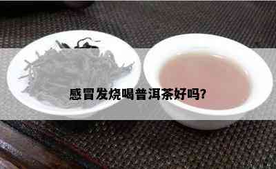 感冒发烧喝普洱茶好吗？