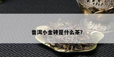 普洱小金砖是什么茶？