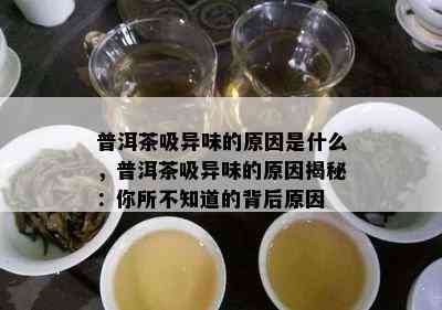 普洱茶吸异味的原因是什么，普洱茶吸异味的原因揭秘：你所不知道的背后原因