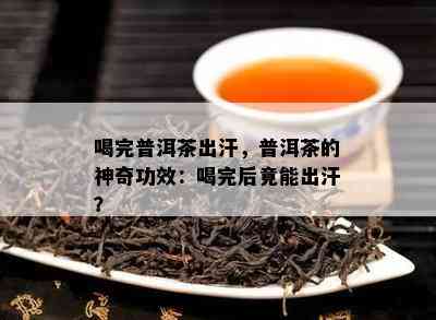 喝完普洱茶出汗，普洱茶的神奇功效：喝完后竟能出汗？