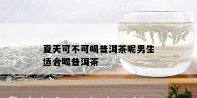 夏天可不可喝普洱茶呢男生适合喝普洱茶