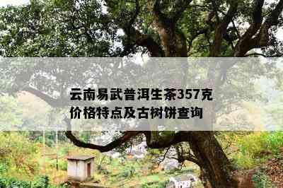 云南易武普洱生茶357克价格特点及古树饼查询