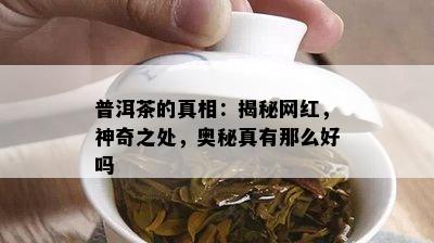 普洱茶的真相：揭秘网红，神奇之处，奥秘真有那么好吗