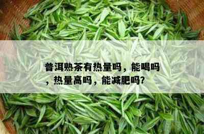 普洱熟茶有热量吗，能喝吗，热量高吗，能减肥吗？