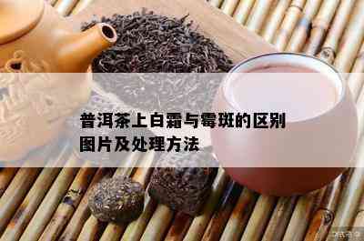 普洱茶上白霜与霉斑的区别图片及处理方法