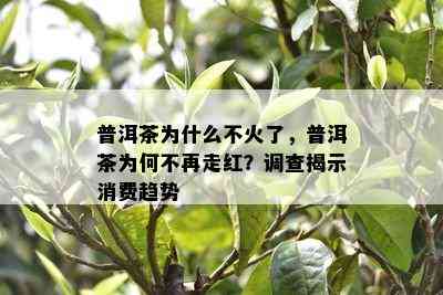 普洱茶为什么不火了，普洱茶为何不再走红？调查揭示消费趋势