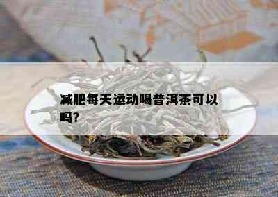 减肥每天运动喝普洱茶可以吗？