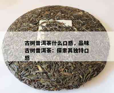 古树普洱茶什么口感，品味古树普洱茶：探索其独特口感