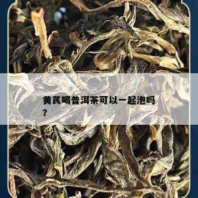 黄芪喝普洱茶可以一起泡吗？