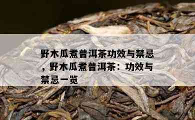 野木瓜煮普洱茶功效与禁忌，野木瓜煮普洱茶：功效与禁忌一览